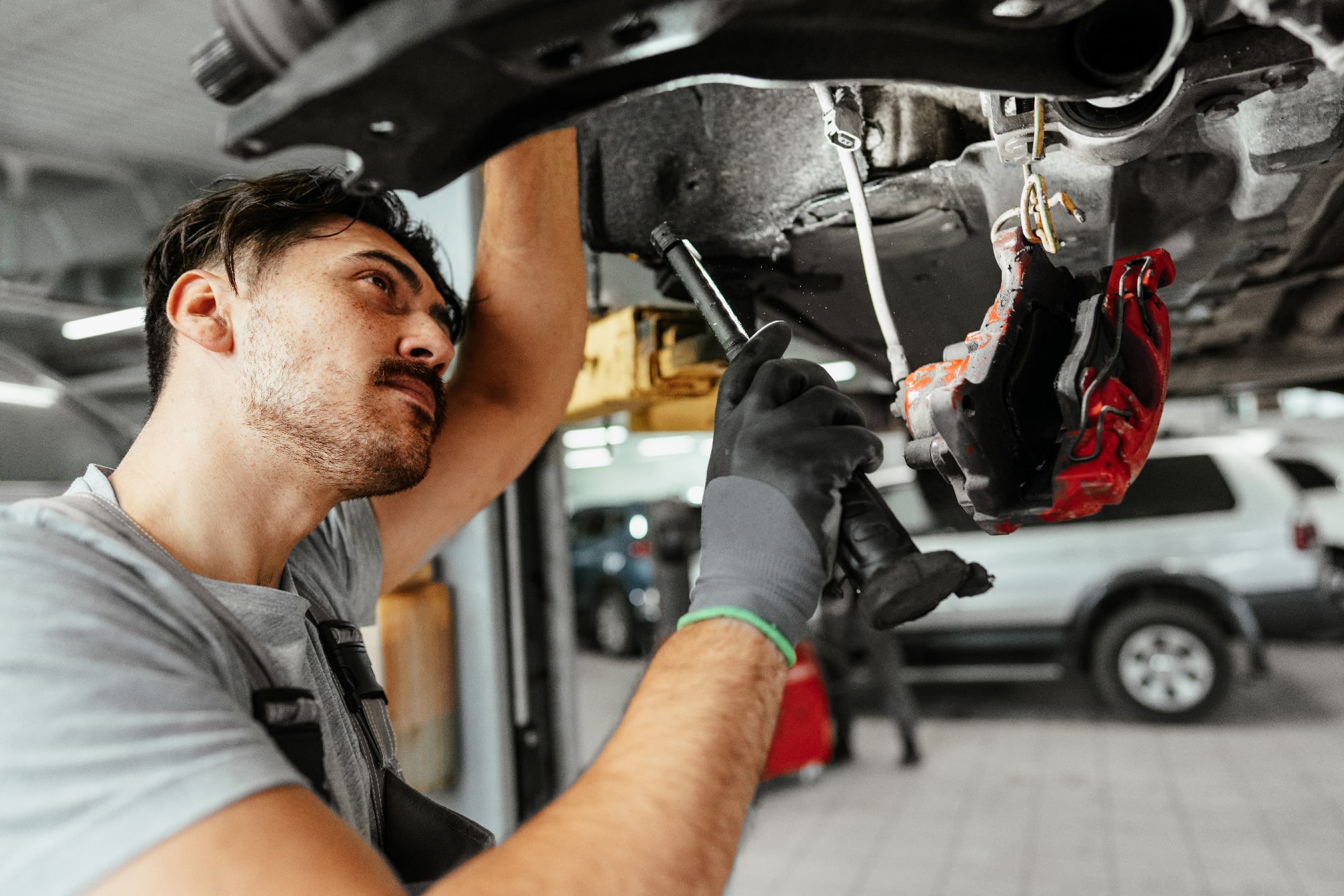 Servicio de Búsqueda