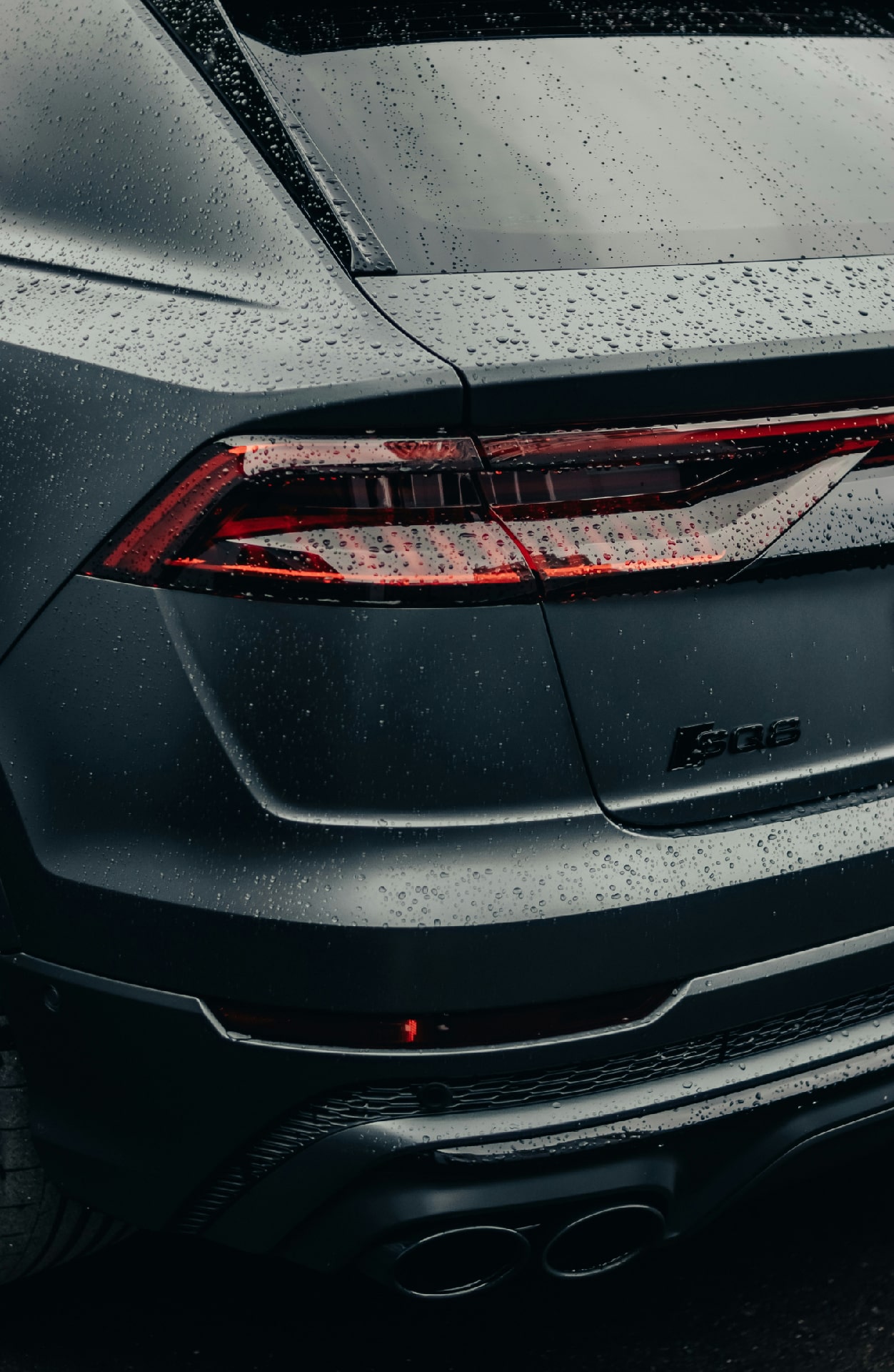 Etapa 2: Gestión & Venta